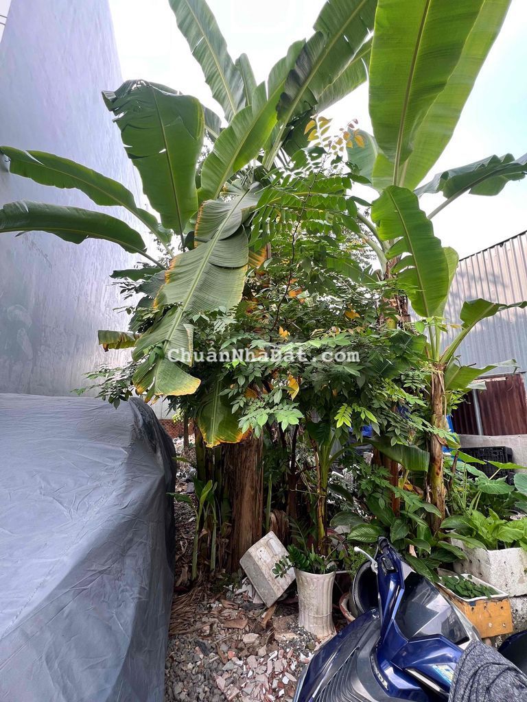 Đất Mặt Tiền Tân Chánh Hiệp-Gần Nguyễn Ảnh Thủ q12-6mx18m-Nhỉnh 4 ty