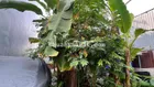 Đất Mặt Tiền Tân Chánh Hiệp-Gần Nguyễn Ảnh Thủ q12-6mx18m-Nhỉnh 4 ty