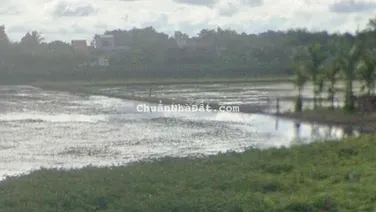 đất thổ cư bán