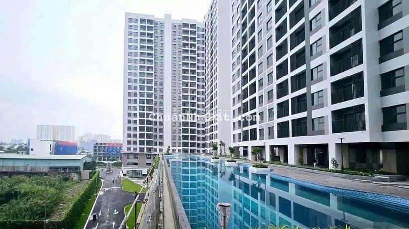 Cập nhật giỏ hàng cho thuê giá căn 51m2 giá 8tr5, 67m2 giá 10tr