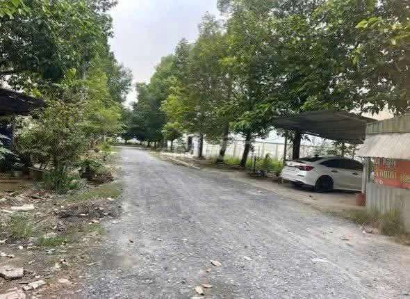 Hàng ngợp Ds 8 dt 6x24m chỉ 2.5 tỷ