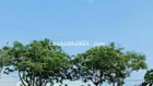 SÁNG TẬP THỂ DỤC CÔNG VIÊN - CHIỀU NGẮM GIÓ SÔNG THỔI VÀO TẬN CỬA 🌿