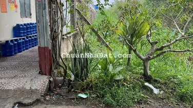 Đất 5x50m cặp dãy trọ cần bán