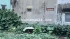 🔥 HÀNG HIẾM TẠI GÒ VẤP- LÔ ĐẤT FULL THỔ CƯ - PHƯỜNG 15- QUẬN GÒ VẤP