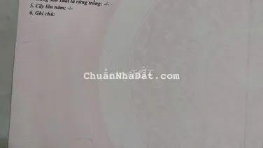 BÁN ĐẤT PHƯỚC TÂN - BIÊN HÒA