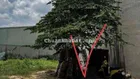 BÁN ĐẤT HẺM XE HƠI ĐƯỜNG CÂY CÁM, BÌNH TÂN