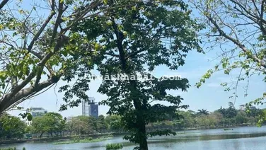 ĐI BỘ CÔNG VIÊN 29/3 - 2 TẦNG LÔ GÓC - SÁT Ô TÔ - CHỈ HƠN 3 TỶ