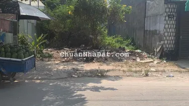 Đất Cho thuê đối diện Trường học Mỹ hạnh 136m2(8x17)