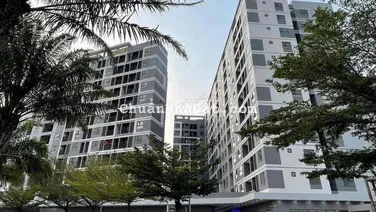 Cho thuê chung cư C2 Phú Mỹ 2PN-1WC Có Nội Thất