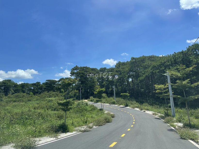 Bán lô đất view giáp rừng thông, view hồ 24ha, như Đà Lạt