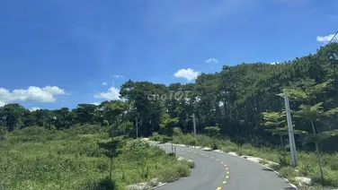 Bán lô đất view giáp rừng thông, view hồ 24ha, như Đà Lạt