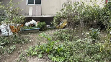 đất lành long biên giá cực tốt - mua ở hay đầu tư rất ok