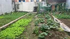 👉 HIẾM – ĐẤT VUÔNG 46.8m2 Thôn Đông Bầu Thiên Lộc, Đông Anh – 3.8 Tỷ