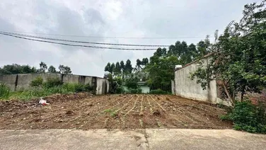 KHÔNG CÓ LÔ THỨ 2, ĐẤT THANH ĐÌNH 303M2, GIÁ ĐẦU TƯ SINH LỜI CAO
