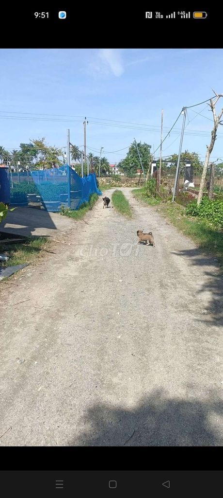 Bán đất phường điện bàn bắc gần vành đai