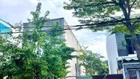 BÁN ĐẤT TRUNG LƯƠNG 6 SIÊU ĐẸP GẦN CHUNG CƯ GẦN SÂN VẬN ĐỘNG