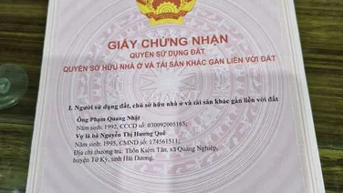 Nợ nần cần bán lúa non mua từ 2021