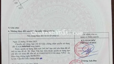 BÁN GẤP LÔ ĐẤT TÂN TRIỀU