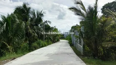 THỔ CƯ TÂN BỬU BẾN LỨC CŨ, VIEW SÔNG