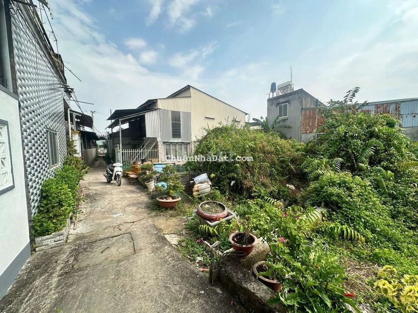 BÁN ĐẤT FULL THỔ CƯ 147M2 ẤP 7, LƯƠNG HOÀ, BẾN LỨC