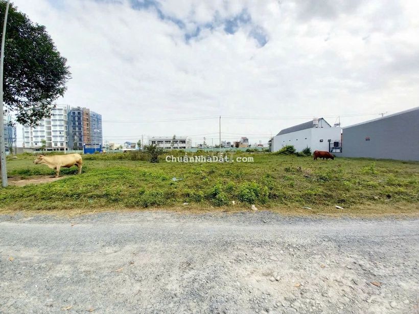 Bá.n Cặp Nền 200m2 Đường Số 6 KDC Đông Phú, Châu Thành, TP. Cần Thơ.