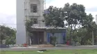 nha kien co