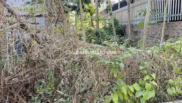 🏡BÁN ĐẤT VÀNG 76M² CHỈ 5,3 Tỷ– KIM CHUNG - ĐÔNG ANH,TIỆN ÍCH ĐỈNH CAO🏡