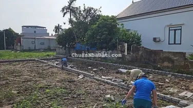 Đất hiếm 91m², ngõ thông ôtô, gần cảng Logistic Vingroup. chỉ 1x tr/m²