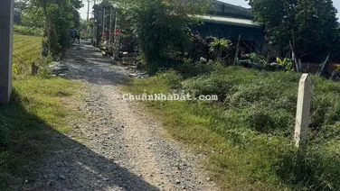 chỉ kẹt tiền cần bán gấp trong tuần trả nợ