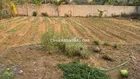 Đất Thôn Chớp _Lương Phong _Hiệp Hoà _Bắc Giang ( cũ )