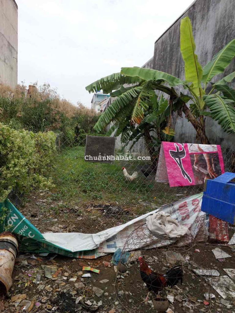 Đất nền 92mv sát khu công nghiệp Tân Đức