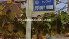 Lô đất kiệt Võ Duy Ninh