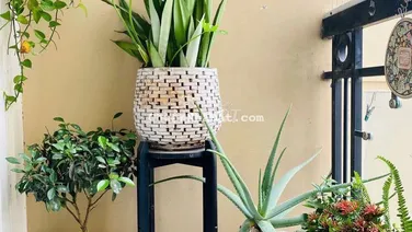 🎄🎁 HIẾM CÓ: Căn hộ 122m² 3Phòng ngủ. Balcon Đông nam gió mát. 📕SHR.
