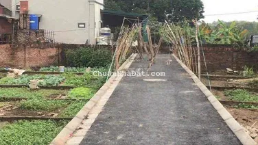 Bán đất Đa Tốn- Gia Lâm- Hà Nội Nở Hậu oto đôc trước đất giá hơn 3 tỷ