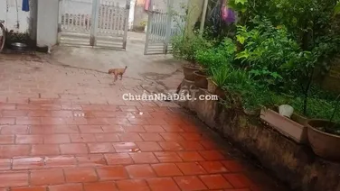 Bán đất thổ cư đẹp tại Do Hạ, Tiền Phong, Mê Linh 85m2, mặt tiền 5m