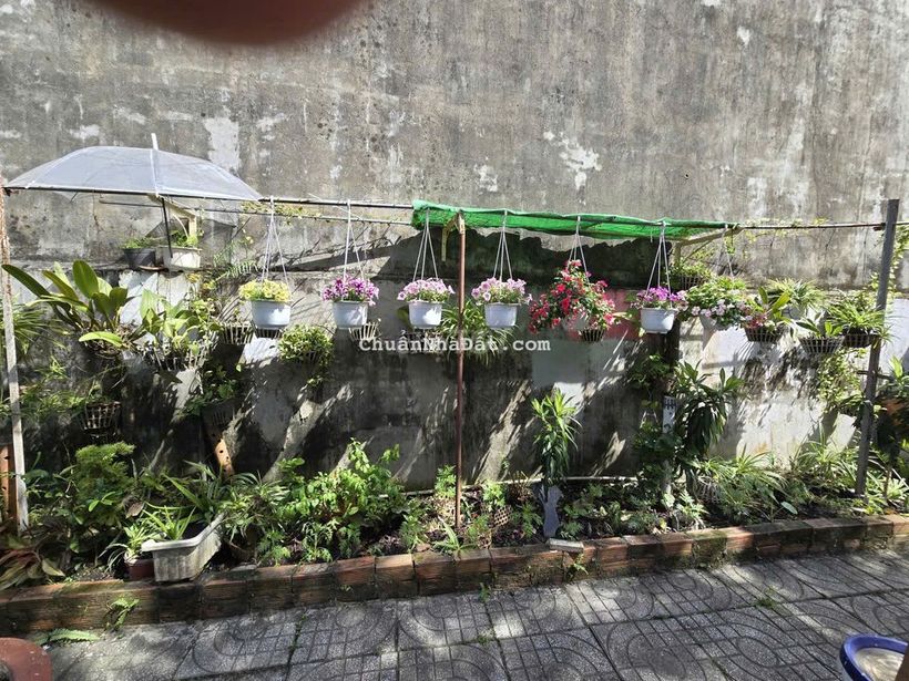 Cho thuê nhà cấp 4 có sân vườn rộng.