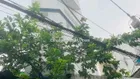 CĂN GÓC 4 TẦNG THOÁNG ĐẸP- LƯU HỮU PHƯỚC QUẬN 8-HXH 100M-NHỈNH 5 TỶ