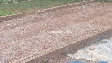 ĐẤT KIM BÀI THANH OAI, 42M, MT4,3M, GIÁ 3 TỶ