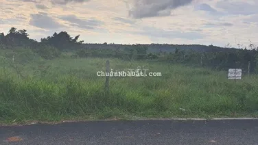 Cho thuê dài hạn đất 755m. đường xe Cont,