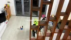 nhà 2 tầng đường 7m5 sau bến xe khu đô thị phước lý