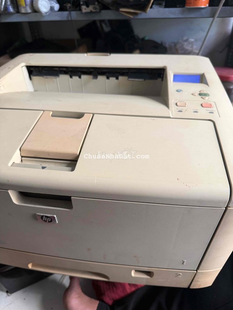 cần thuê nhà để ở