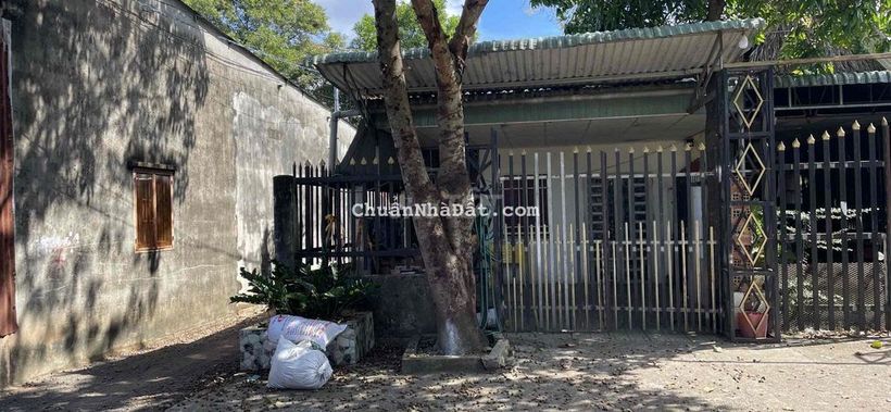 Bán gấp nhà 180m² (5x36) trung tâm TP Đồng Xoài giá chỉ 1,1 Tỷ