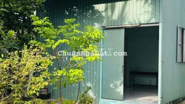 Cho thuê nhà nguyên căn