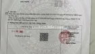 Bán lô đất ngay Kênh Tân Hoá 5*13 sát Hoà Bình quận Tân Phú