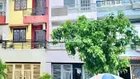 Bán Nhà 5 Tầng 4 x 24 KDC Phạm Thế Hiển, Lê Bôi Quận 8