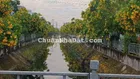 Nhà Đẹp HXH 72M2 Đường Thạnh Lộc 37 P.An Phú Đông Q12 củ