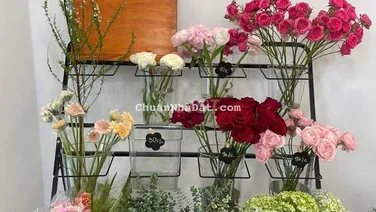 🏠 2PN 2WC – Không gian đủ rộng cho gia đình nhỏ ở lâu dài