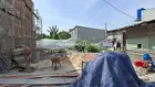 Hàng mới 3 lô liền kề đường thạnh lộc 40 phường an phú đông