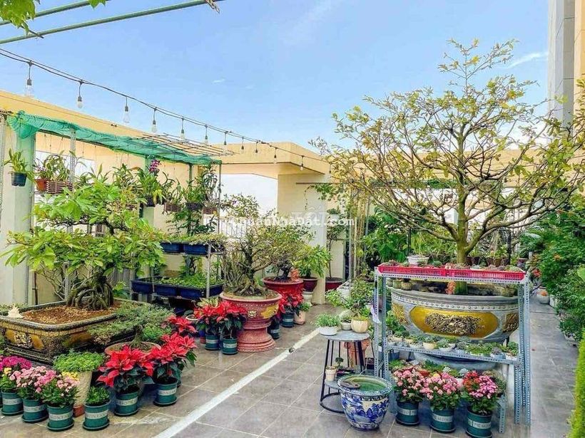 📣📣BÁN CĂN HỘ SÂN VƯỜN BELLEZA Q7-88M2,2PN+ SÂN VƯỜN RỘNG +GÓC💰5.3 TỶ 🔥