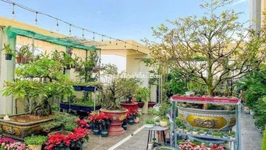 📣📣BÁN CĂN HỘ SÂN VƯỜN BELLEZA Q7-88M2,2PN+ SÂN VƯỜN RỘNG +GÓC💰5.3 TỶ 🔥